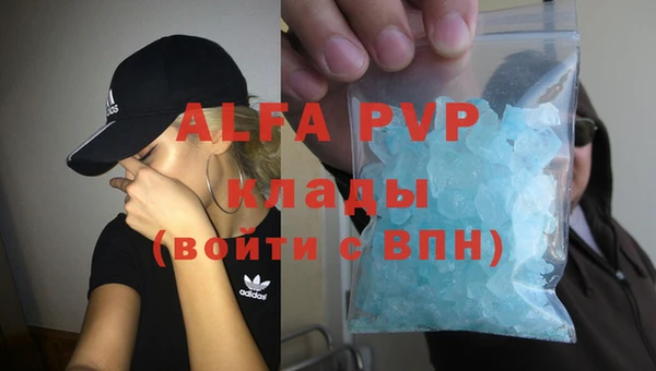 МДПВ Новозыбков